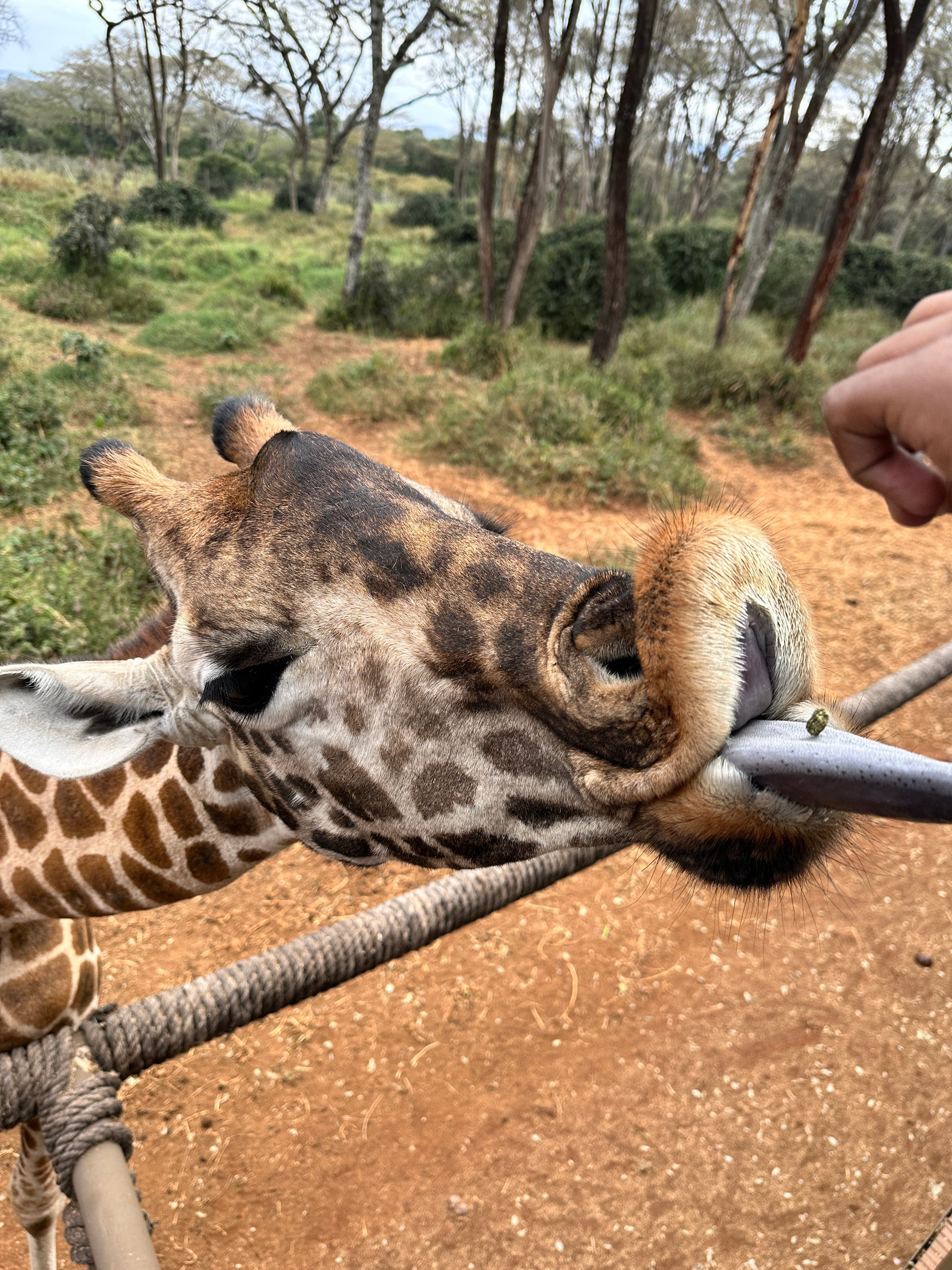 A List of Things to Love About Nairobi