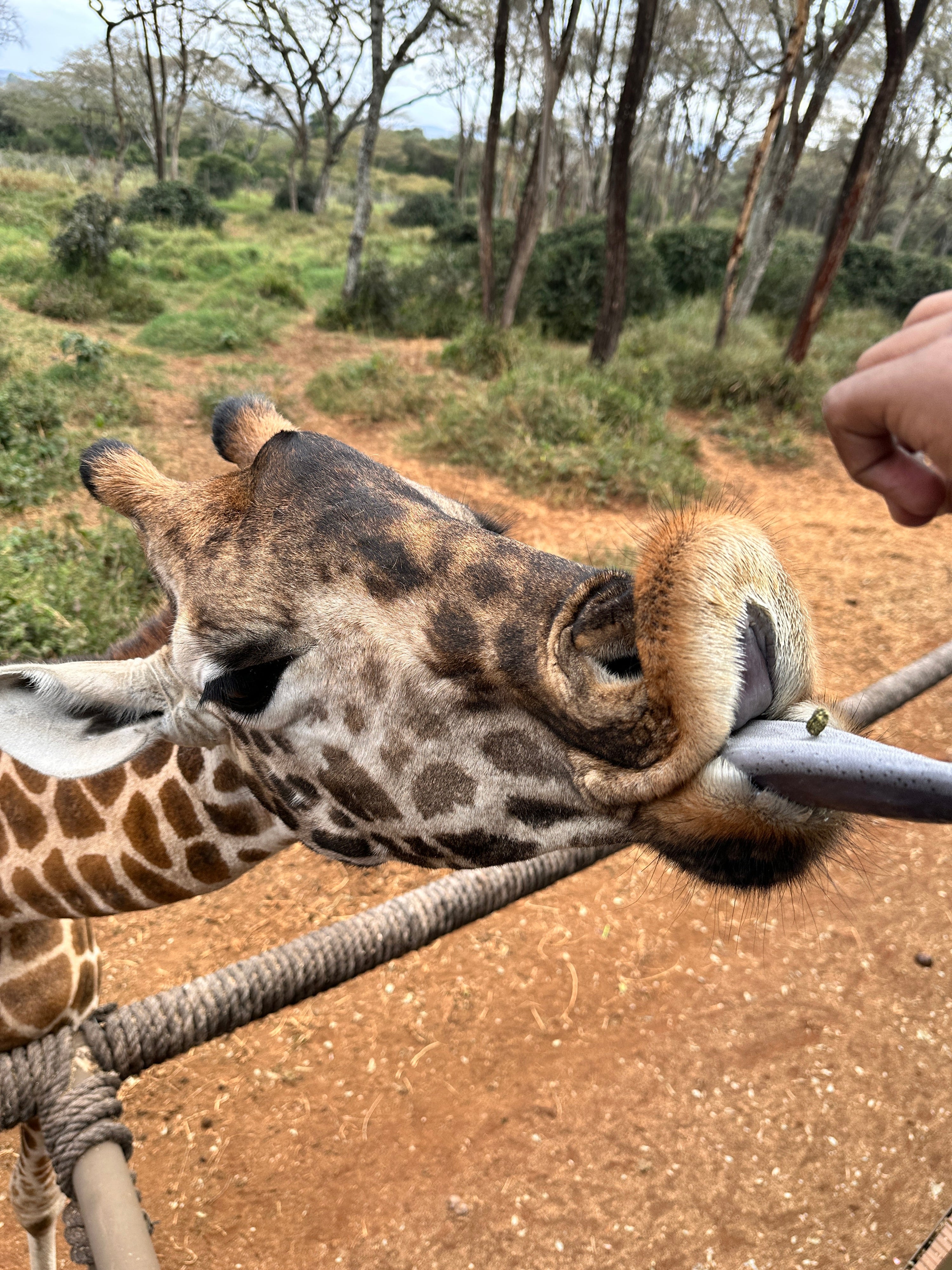 A List of Things to Love About Nairobi