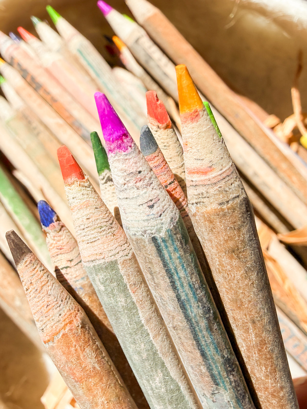 Colored Seed Pencils
