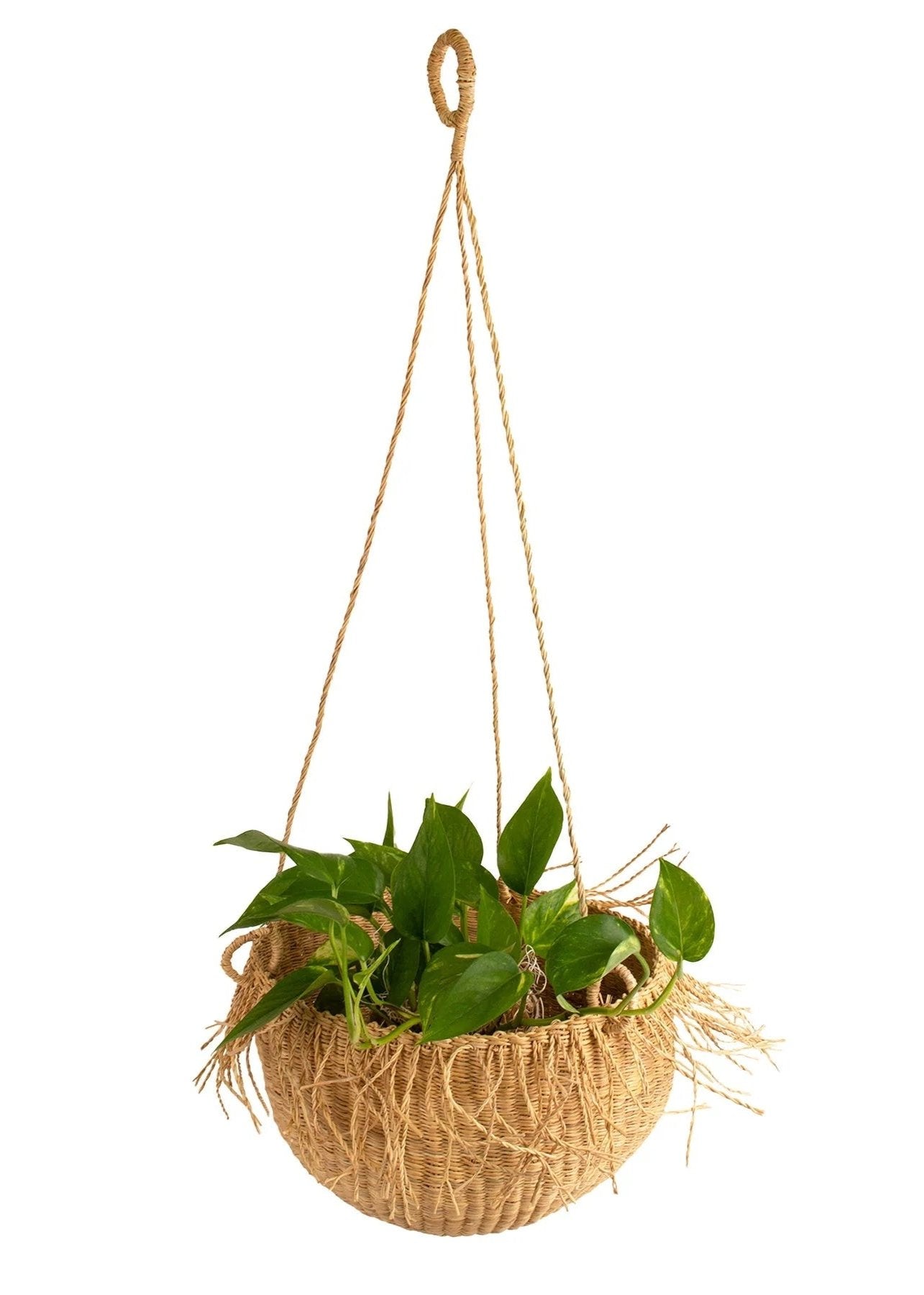 Earthen Craft Catch All 11" Hanging Planter - Zawadisha