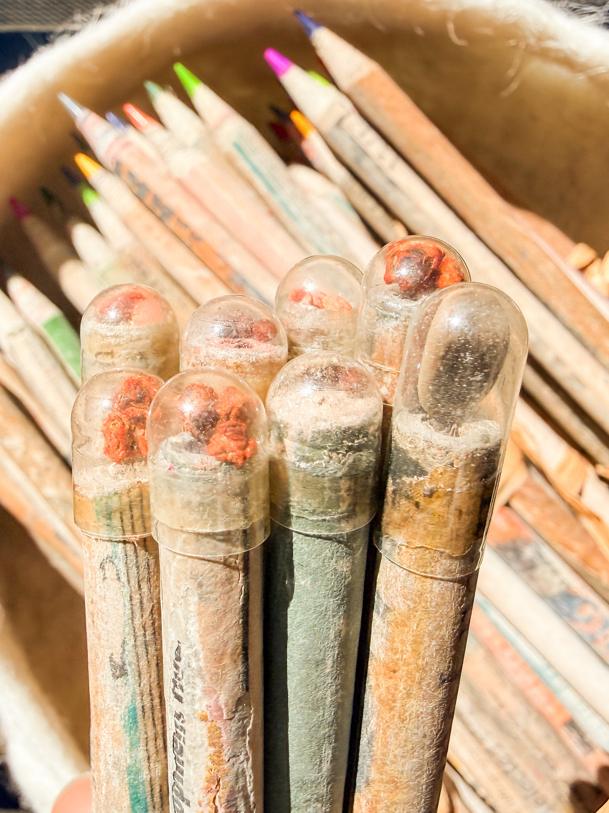 Colored Seed Pencils