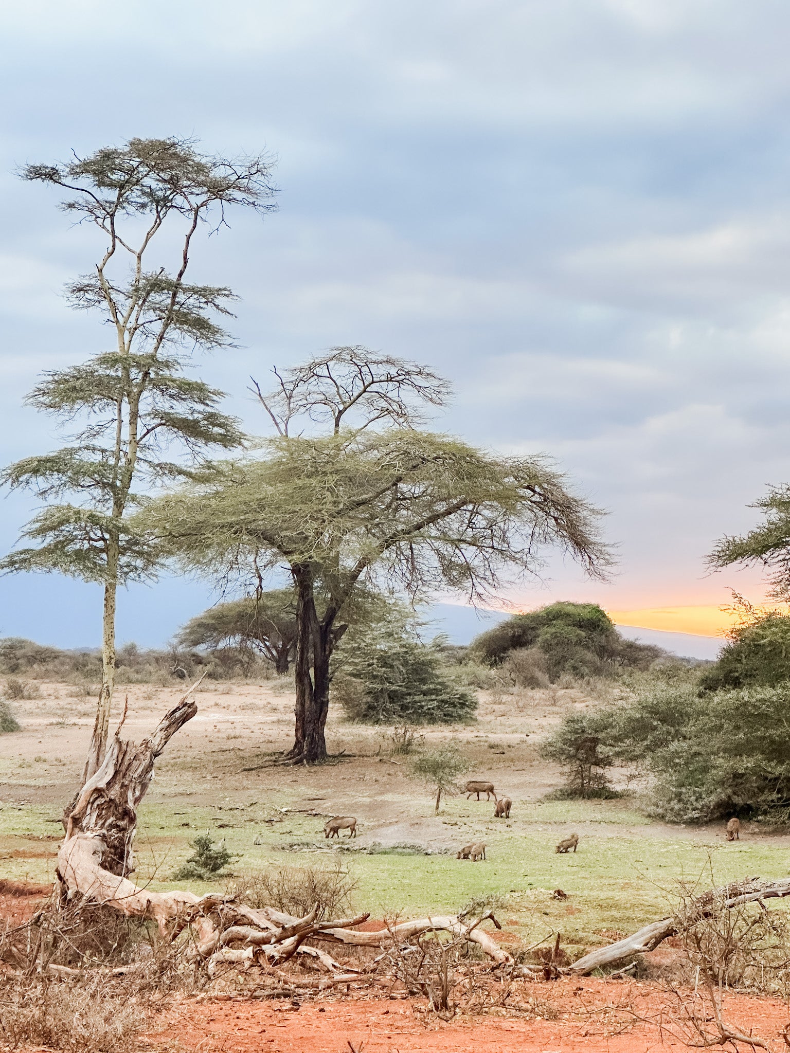Secret Gems of Kenya Tour