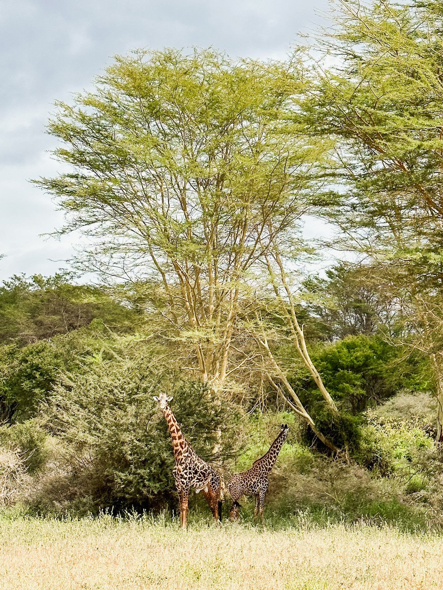 Secret Gems of Kenya Tour
